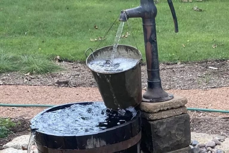 Effective Watering